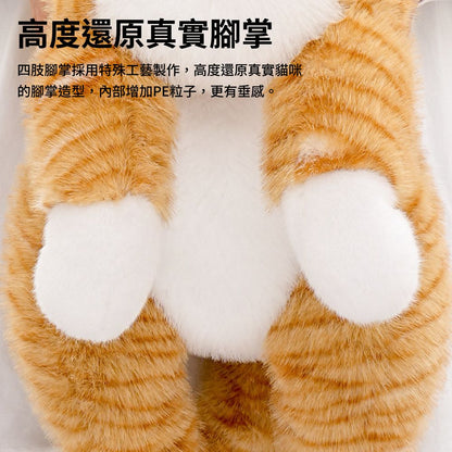 抱抱寶貝貓玩偶 毛絨玩具 絨毛娃娃 貓咪玩偶 大型玩偶 玩偶動物 安撫娃娃 趴趴貓咪