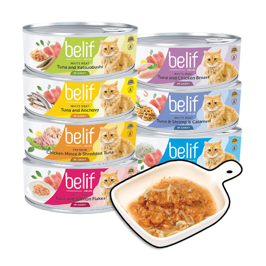 Belif比利夫 鮮燉補水罐 貓罐 貓罐頭 補水罐 點心罐