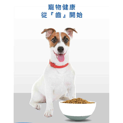 丹 DAN 狗狗營養膳食系列 狗飼料 全齡狗飼料 口腔/毛皮/骨骼照護