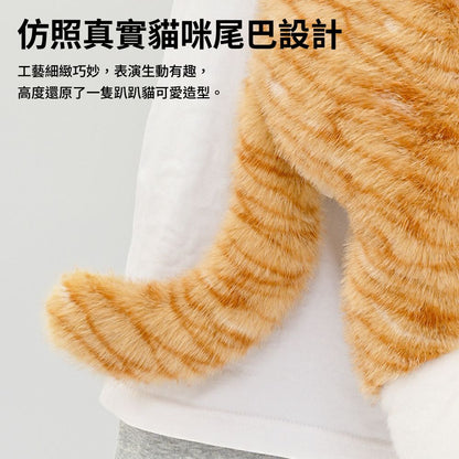 抱抱寶貝貓玩偶 毛絨玩具 絨毛娃娃 貓咪玩偶 大型玩偶 玩偶動物 安撫娃娃 趴趴貓咪