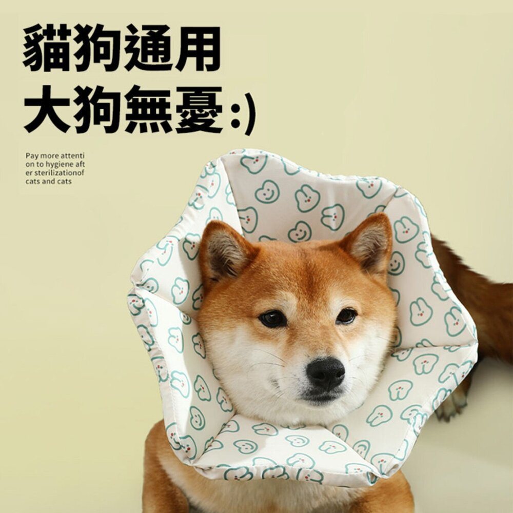 RCC 寵物親膚頭套 親膚海綿 伊莉莎白 術後頭套 防舔頭套 防舔圈 貓頭套 狗頭套 寵物頭套 狗狗頭套