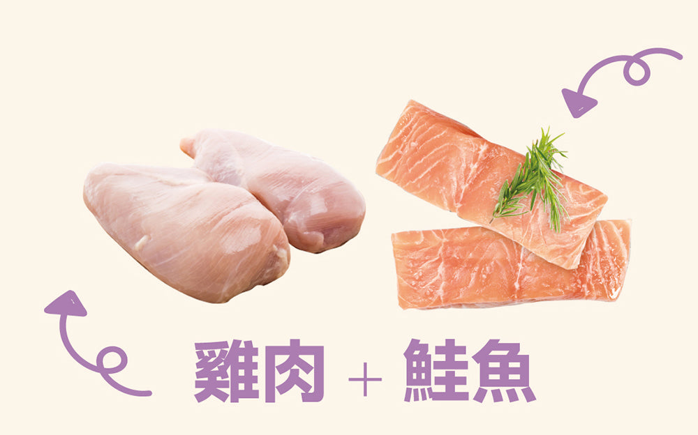 Daily Delight 爵士貓吧 爵士貓 主食罐 貓主食罐 貓咪主食罐 貓 貓罐頭 肉泥 化毛罐 毛掌櫃寵物