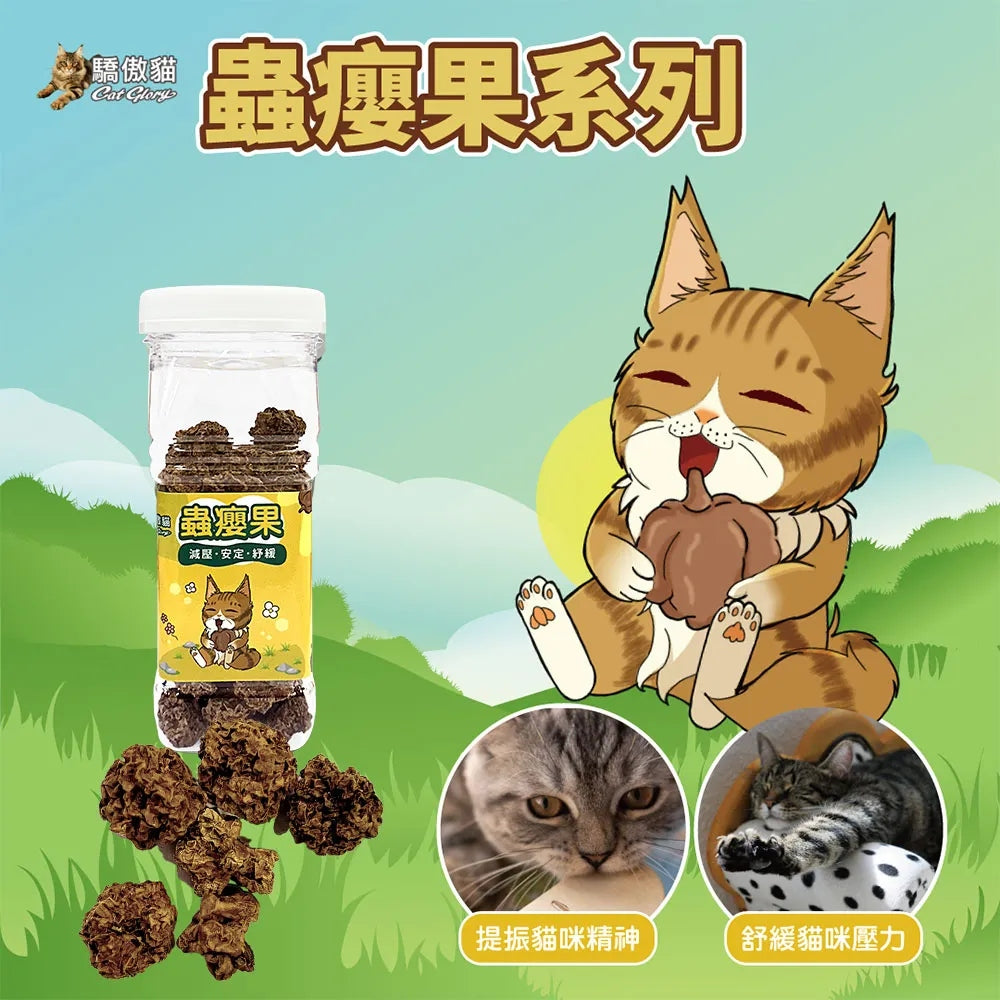 驕傲貓 貓薄荷 木天蓼 蟲癭果 貓草 貓零食 貓紓壓 貓磨牙 毛大二寵物店
