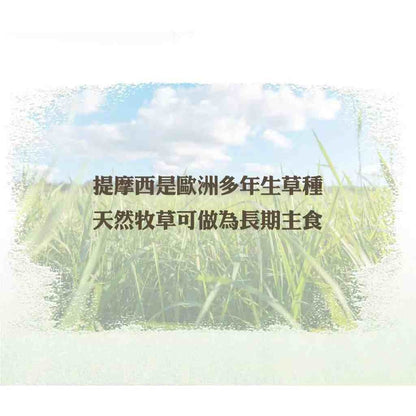 Pet Village 魔法村 美國特級提摩西牧草 400g (初割 第2割 兔子牧草 兔子飼料 寵物牧草)