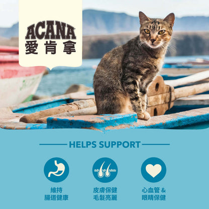 愛肯拿ACANA 無榖貓糧 全品項 1.8kg 4.5kg 貓飼料 低GI 貓糧 毛掌櫃寵物