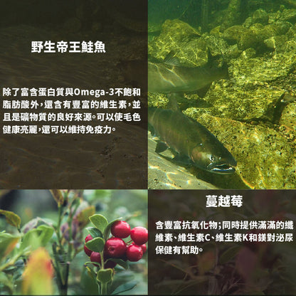 Livin Wild 野宴 紐西蘭無穀 貓飼料 貓糧 無穀貓飼料 無穀貓糧