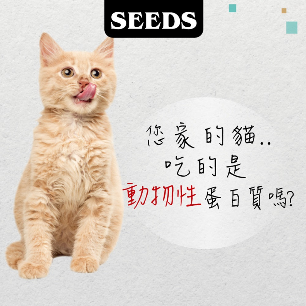 SEEDS 惜時 MamaMia 愛貓軟凍 雞湯餐罐 貓罐 副食罐 貓罐頭