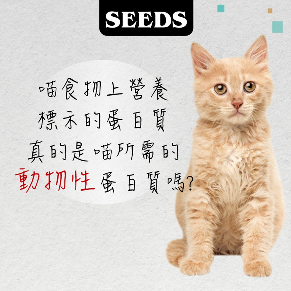 SEEDS 惜時 MamaMia 愛貓軟凍 雞湯餐罐 貓罐 副食罐 貓罐頭