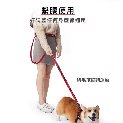 EZYDOG 澳洲 - 輕巧版 零拉力 牽繩 跑步零拉力 120CM 外出用品