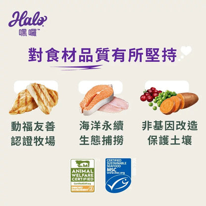 HALO 嘿囉 無穀系列貓糧 3.5磅~10磅 幼貓 成貓 (貓飼料 貓糧)