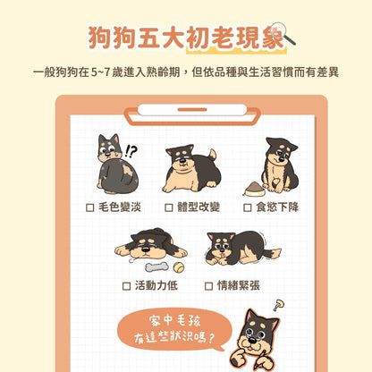 汪喵星球 銀養罐 熟齡犬 無膠銀養主食罐 80g/165g 95%含肉量 狗罐頭 老犬罐